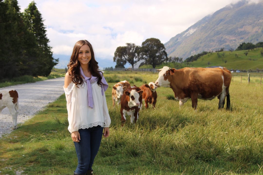 Visiting New Zealand: Travel Blogger, Jordan Gassner, standing near a heard of baby cows and their mother in Paradise, New Zealand