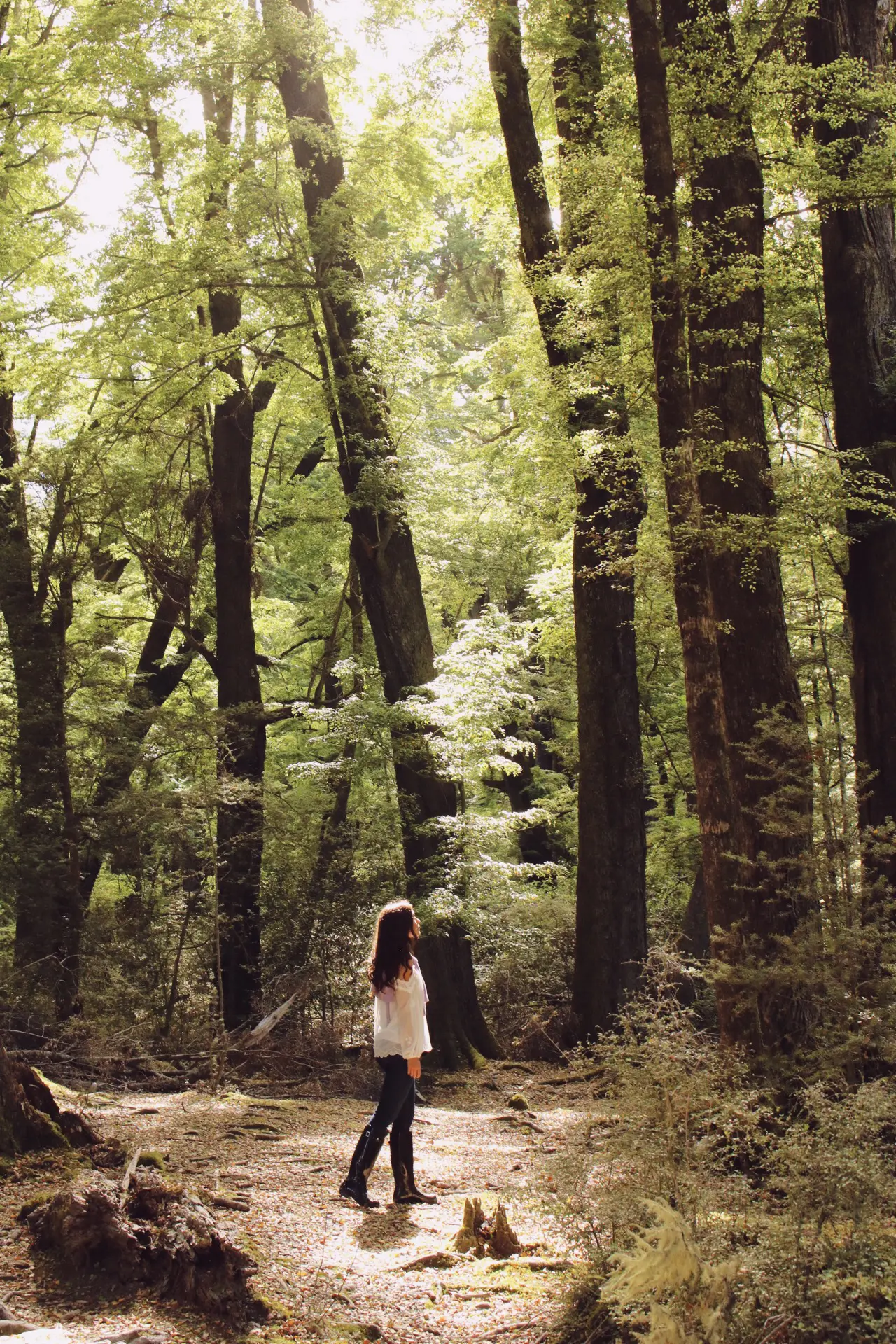 Travel Blogger Jordan Gassner walking through the woods in Paradise, New Zealand