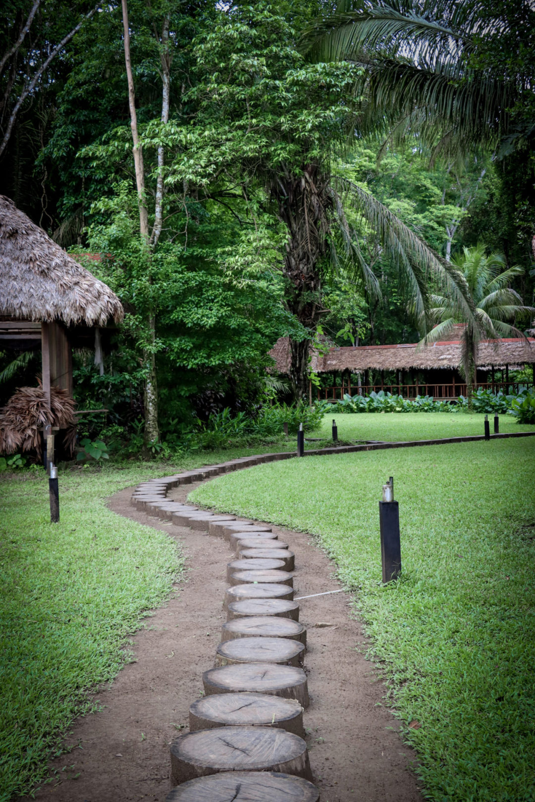 A walkway of tree stumps snaking its way through the lush tropical landscape at Inkaterra Reserva Amazonica in Puerto Maldonado, Peru 