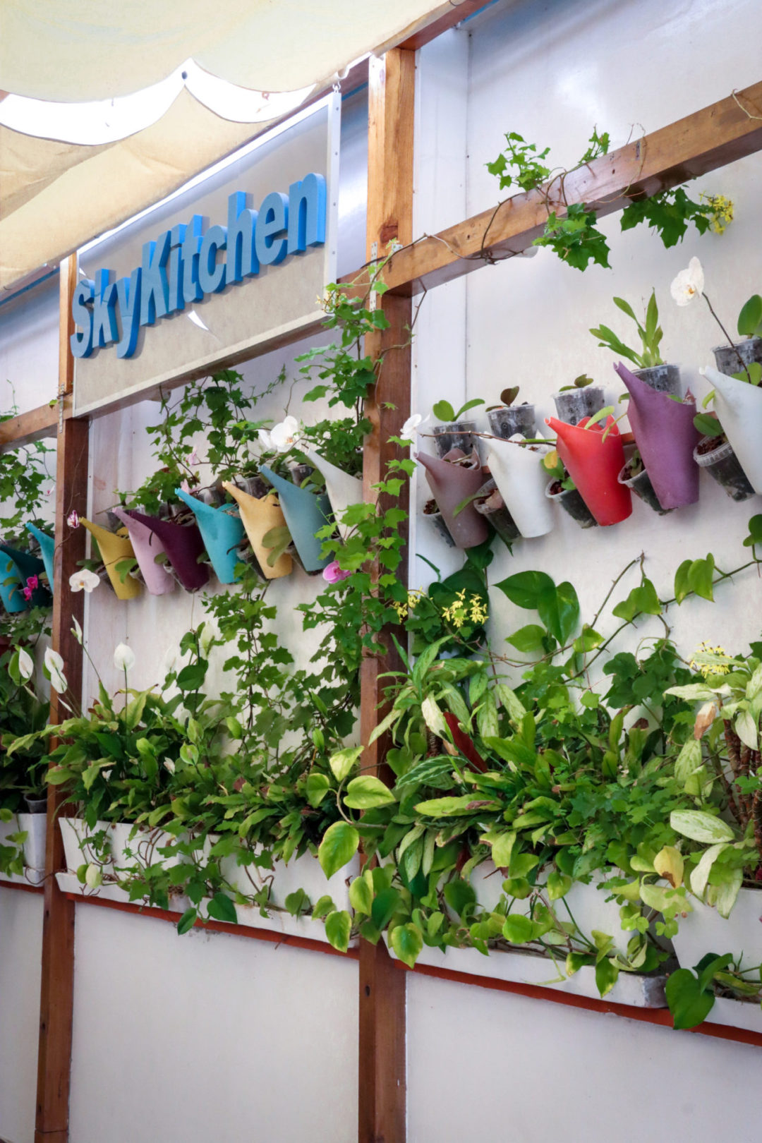Blue "SkyKitchen" sign haging on some wooden beams next to a wall, underneath are rows of planters and flowers.
