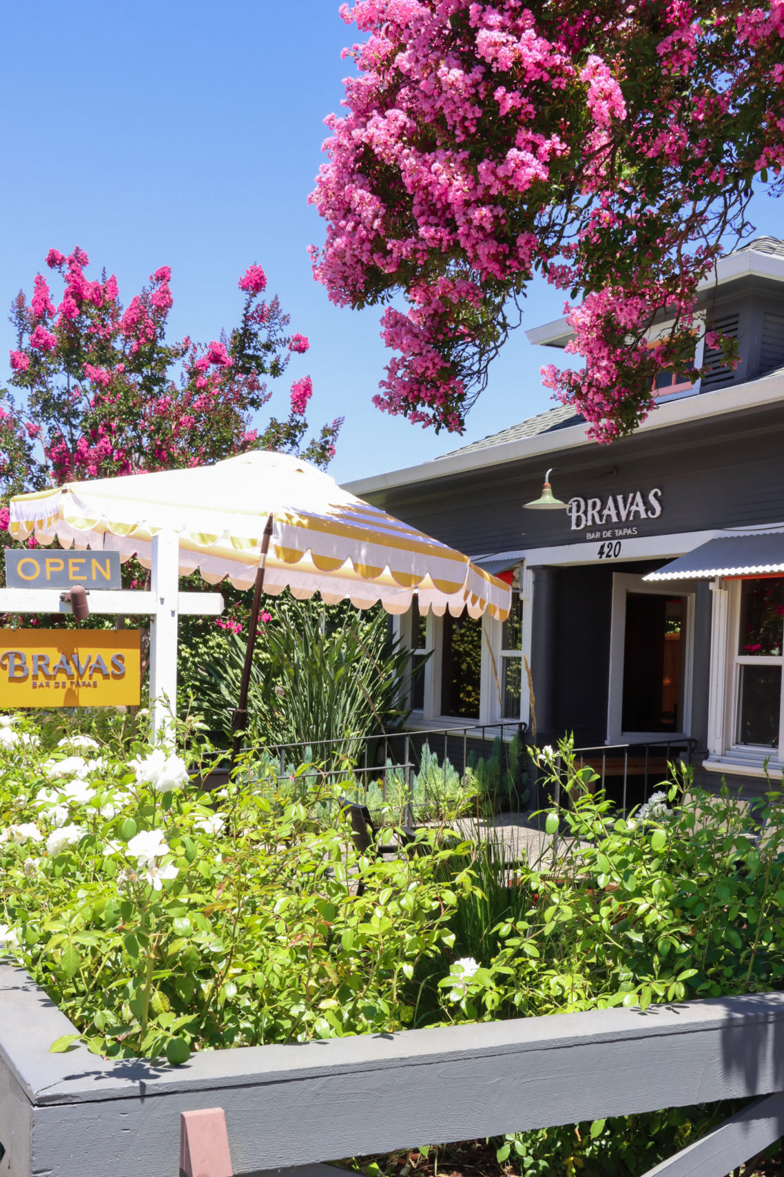 Healdsburg Travel Guide: A yellow and white striped umbrella sitting in the garden next to a white "open" sign in front of Bravas Bar de Tapas
