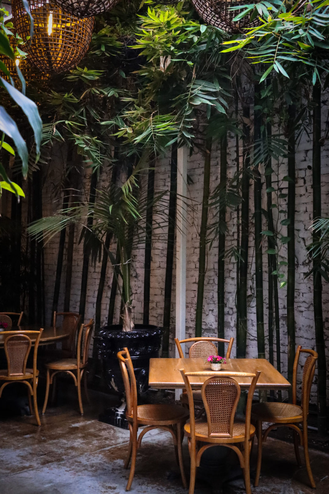 Where to drink the best natural wine: Galanga Thai Restaurant's garden courtyard in Mexico City