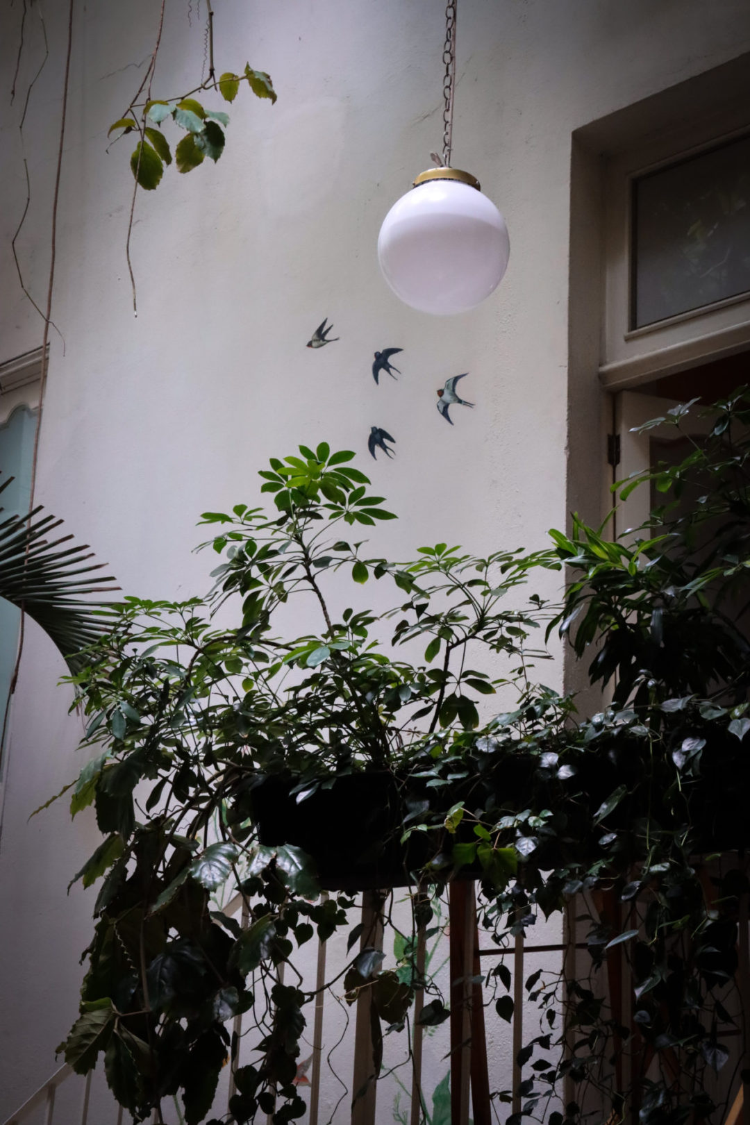 Green plants trickling up the staff staircase at Restaurante Rosetta in Mexico City