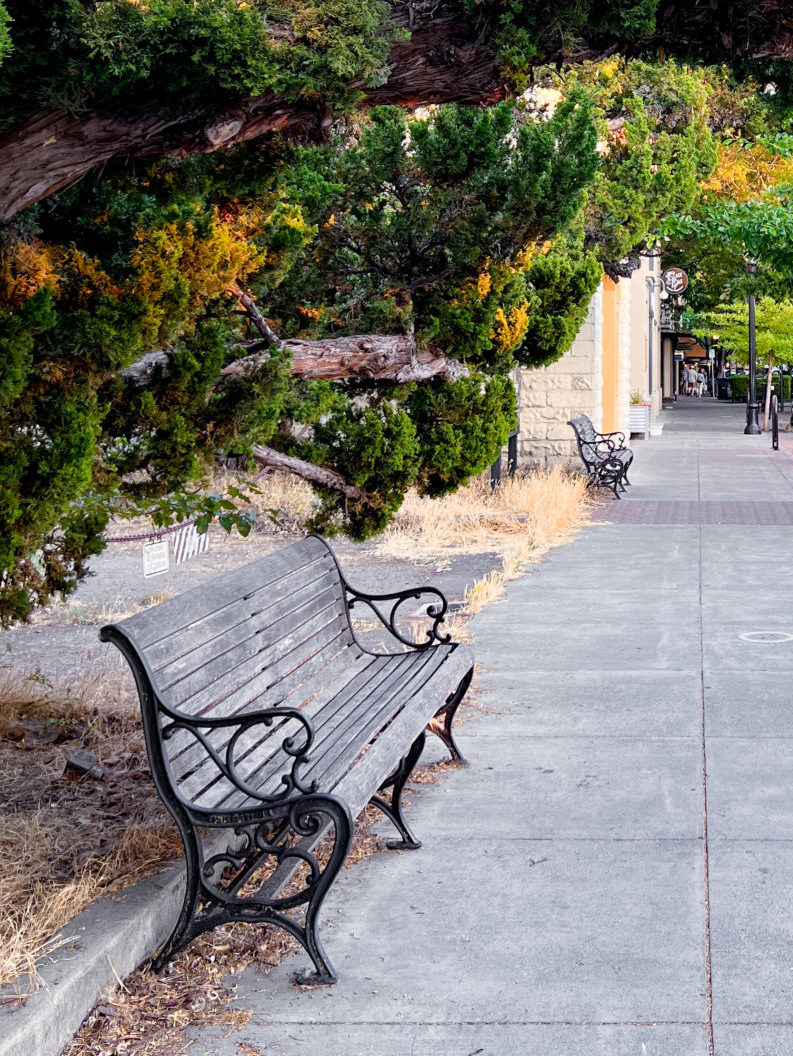 An empty wooden and iron bench sitting on an crowdless sidewalk in Healdsburg, California's downtown area