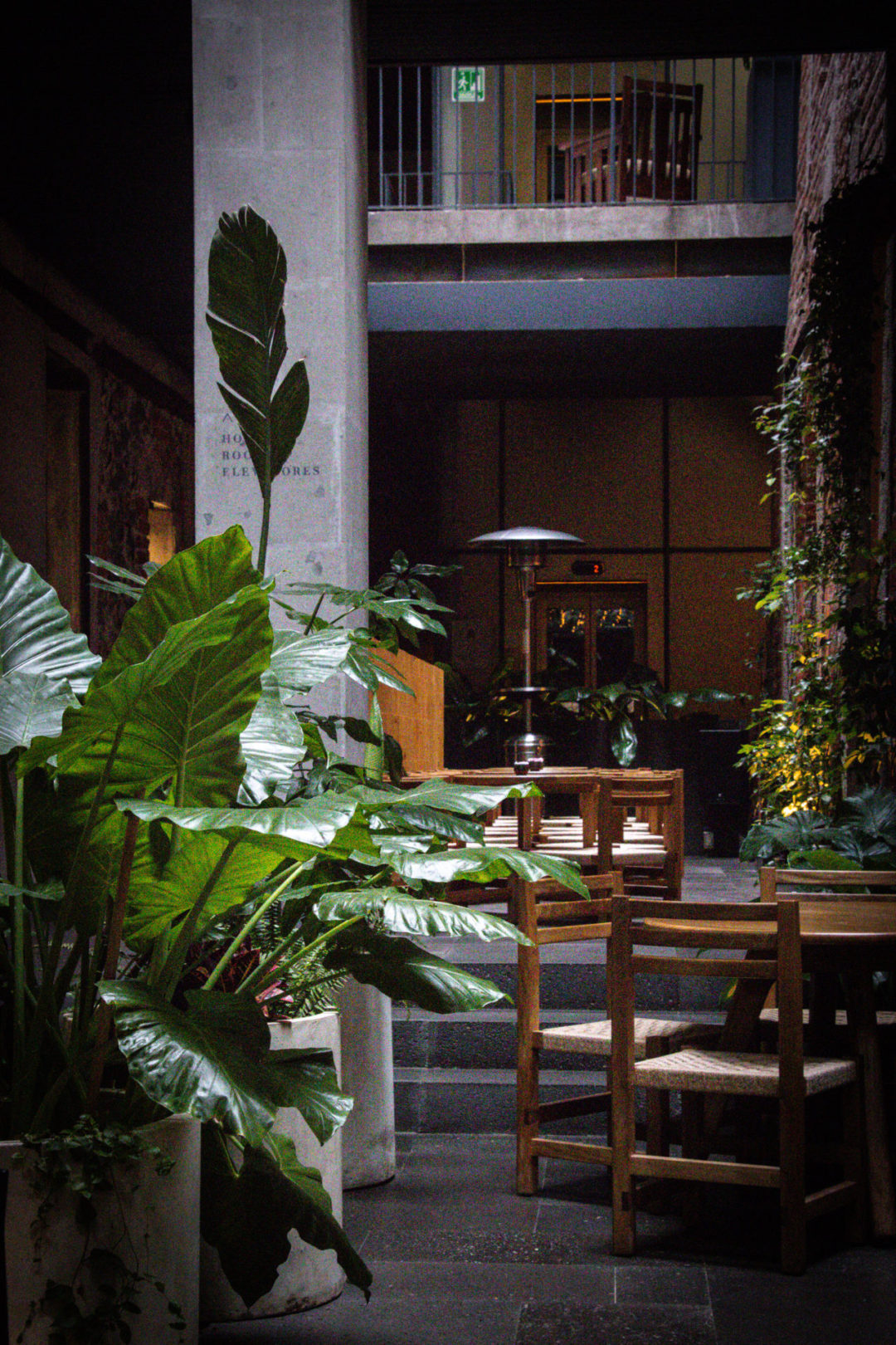 Caracol de Mar, one of the restaurants in the same building as Círculo Mexicano boutique hotel in Mexico City