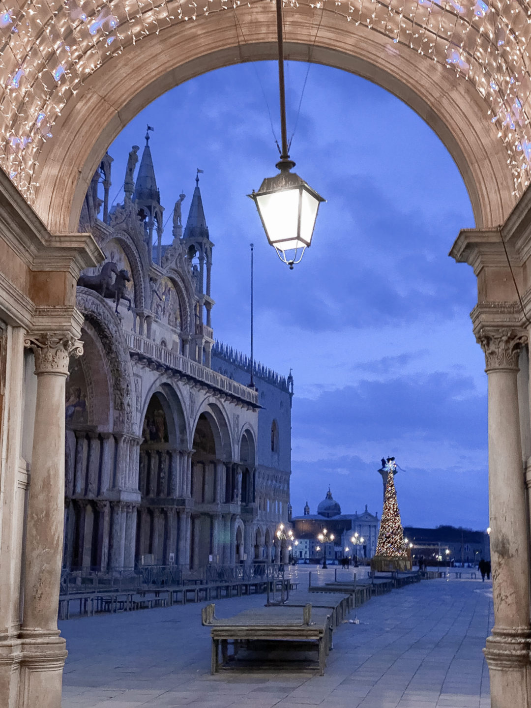 An archway decorated with Christmas lights leading to a tall Christmas Tree in the middle of St. Mark's Square in Venice, Italy