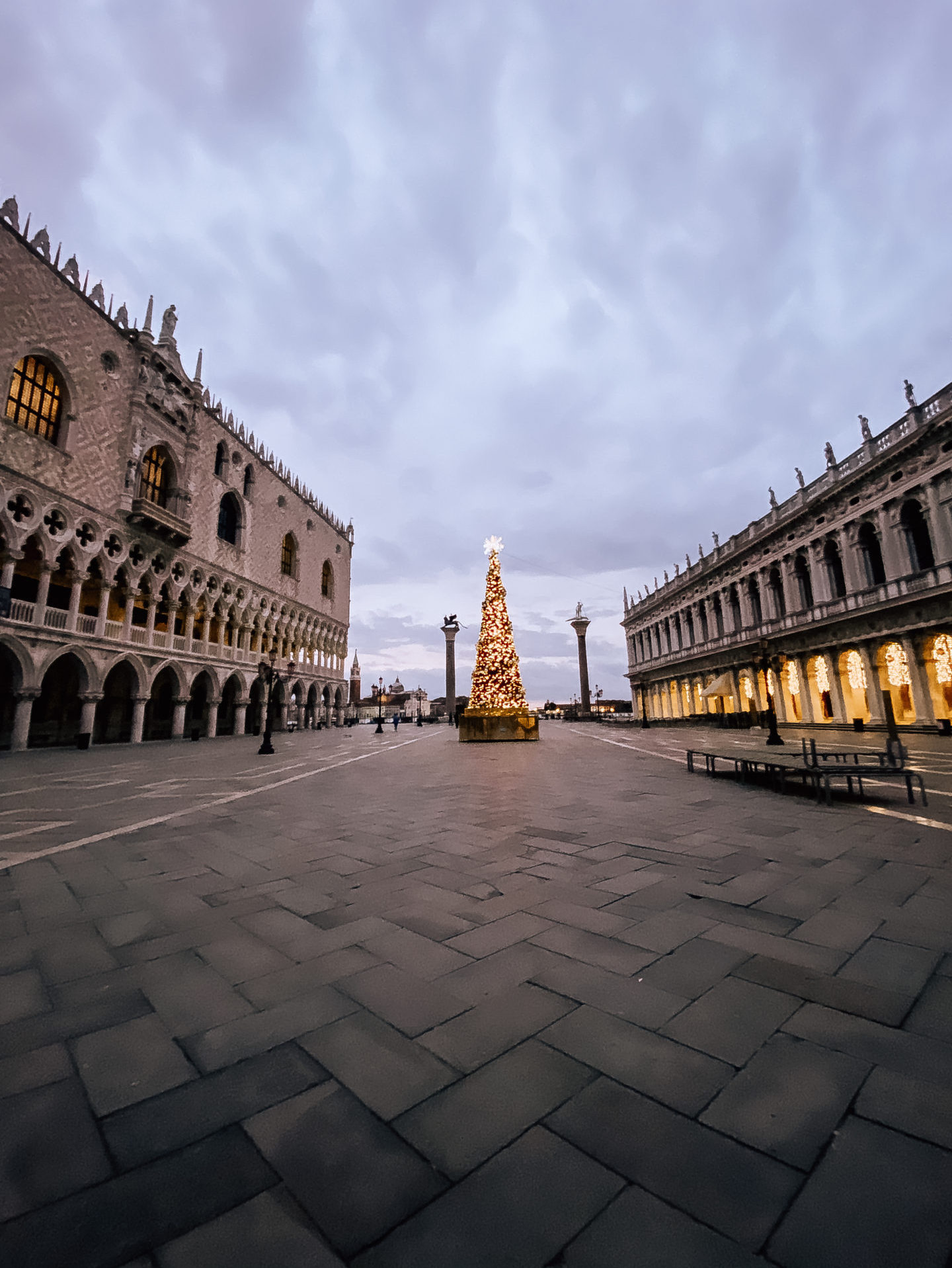 A tall Christmas Tree in the middle of St. Mark's Square under a purple sky at sunrise in Venice, Italy