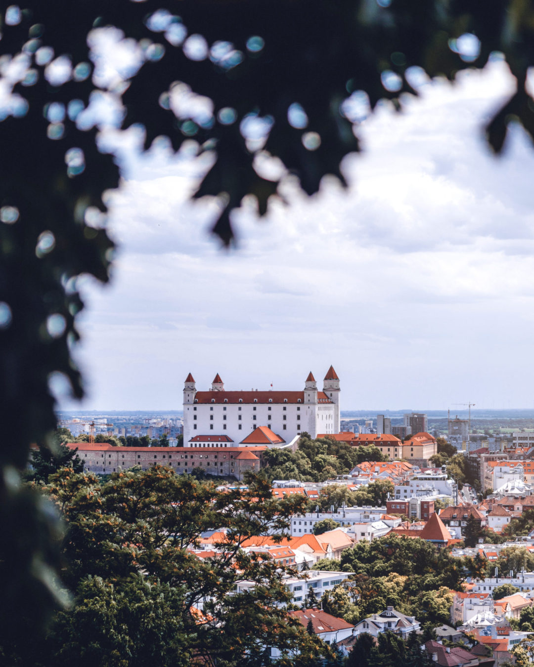 Bratislava Travel Guide: Bratislava Castle standing tall above Old Town and shot from behind a tree on a spring day