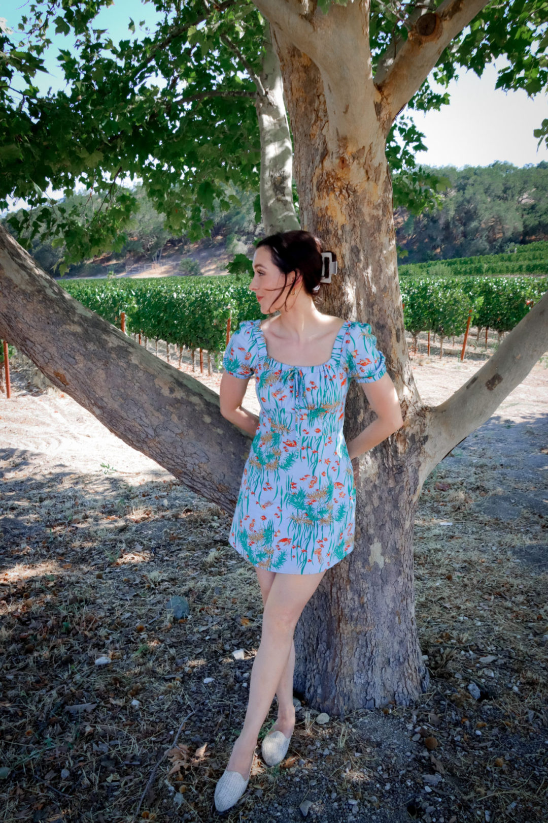 Travel Blogger Jordan Gassner leaning against a tree near the L'Aventure Winery vineyards in Paso Robles, California
