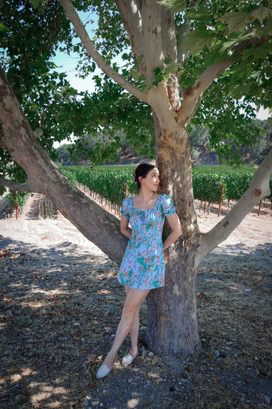 Travel Blogger Jordan Gassner leaning against a tree and smiling near the L'Aventure Winery vineyards in Paso Robles, California
