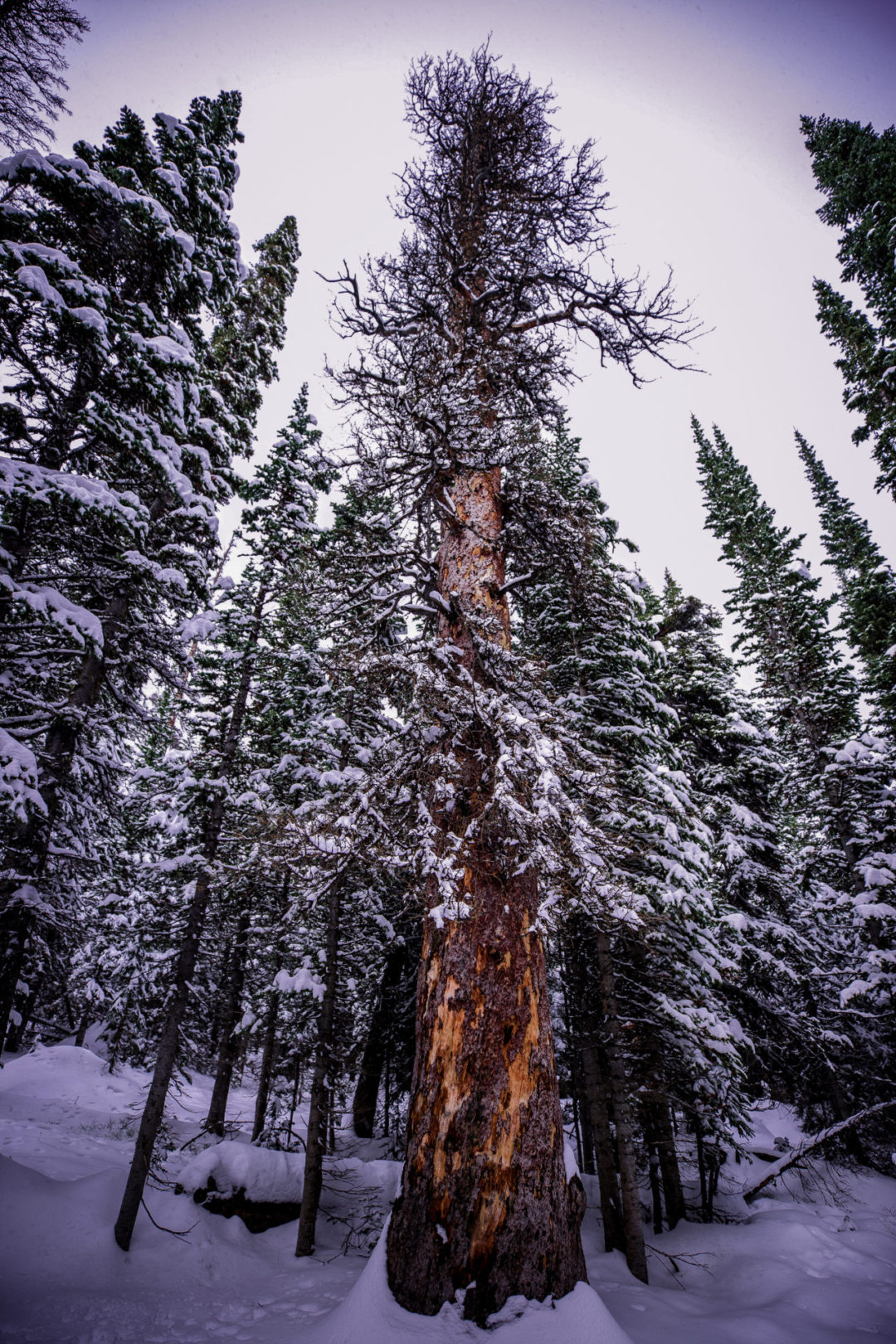 Last Minute US Travel Destinations for the Holidays: Boulder, California.