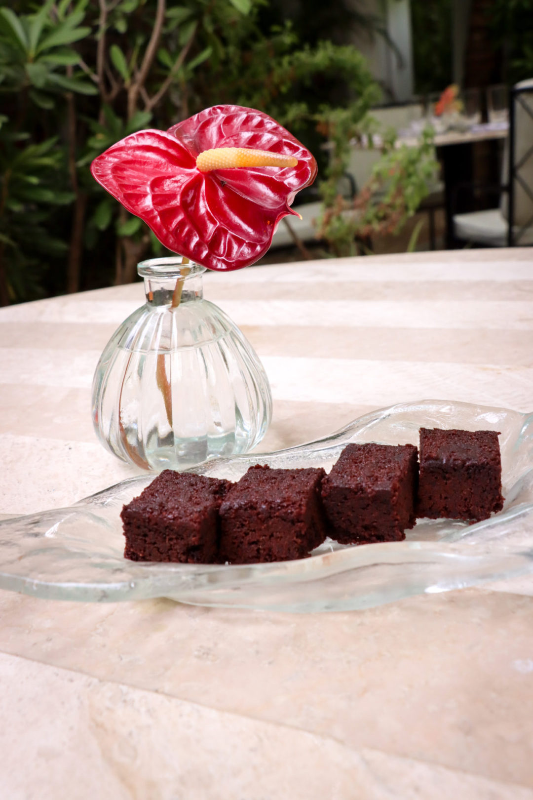 Four miniature vegan brownies next to a potted flower on a table at Tillie's Restaurant in the Palm Heights Hotel in Cayman Islands