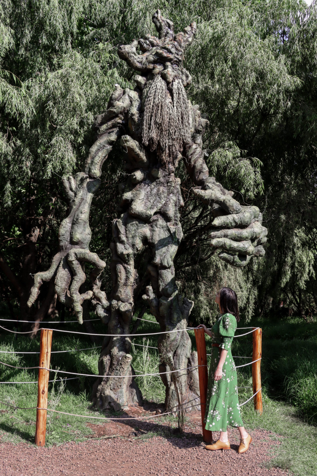 Travel Blogger Jordan Gassner looking up at an Ent statue in Humedal de Huasao ecological park, one of the wonderful day trips from Cusco