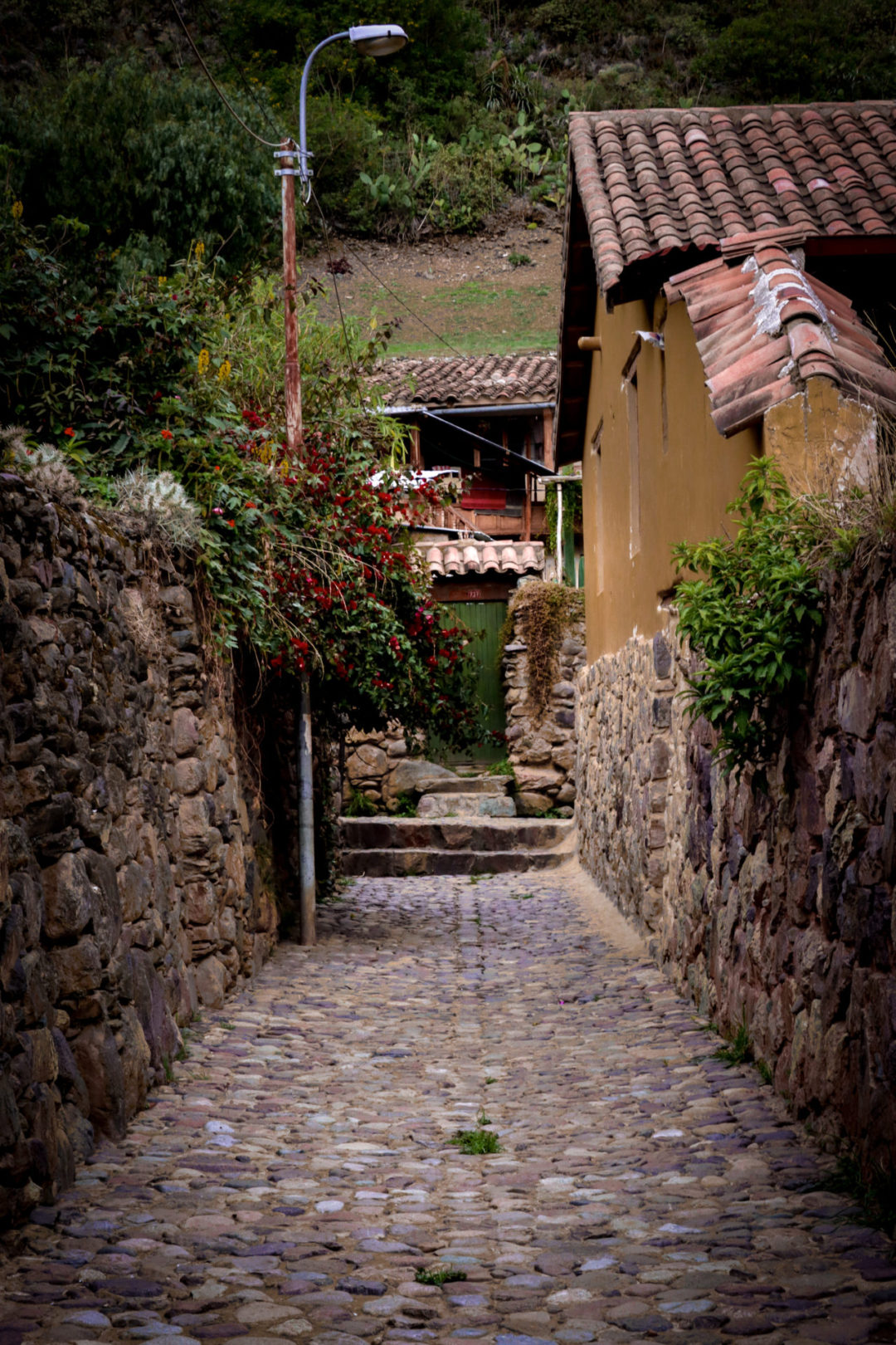 A small cobblestone alleyway with green foliage peeking out from behind the walls and leading to a green door in Ollantaytambo, Peru