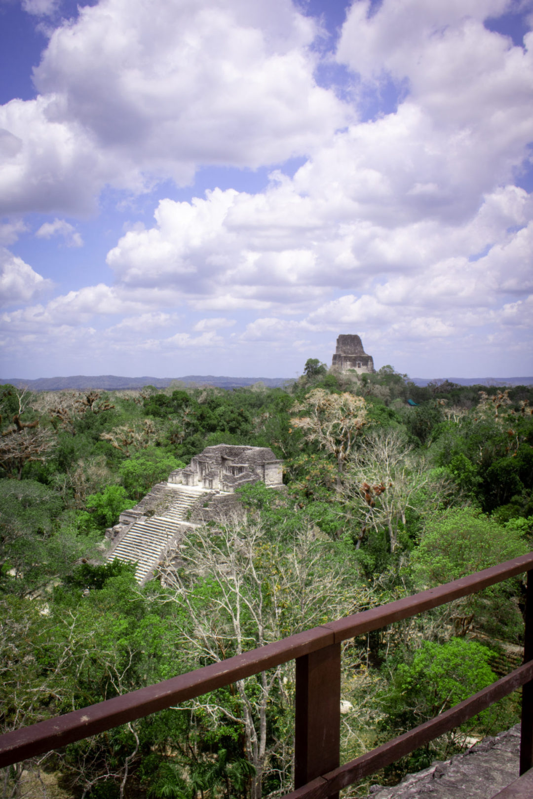 A Mayan pyramid viewpoint looking down on the rainforest inside Tikal National Park in Guatemala