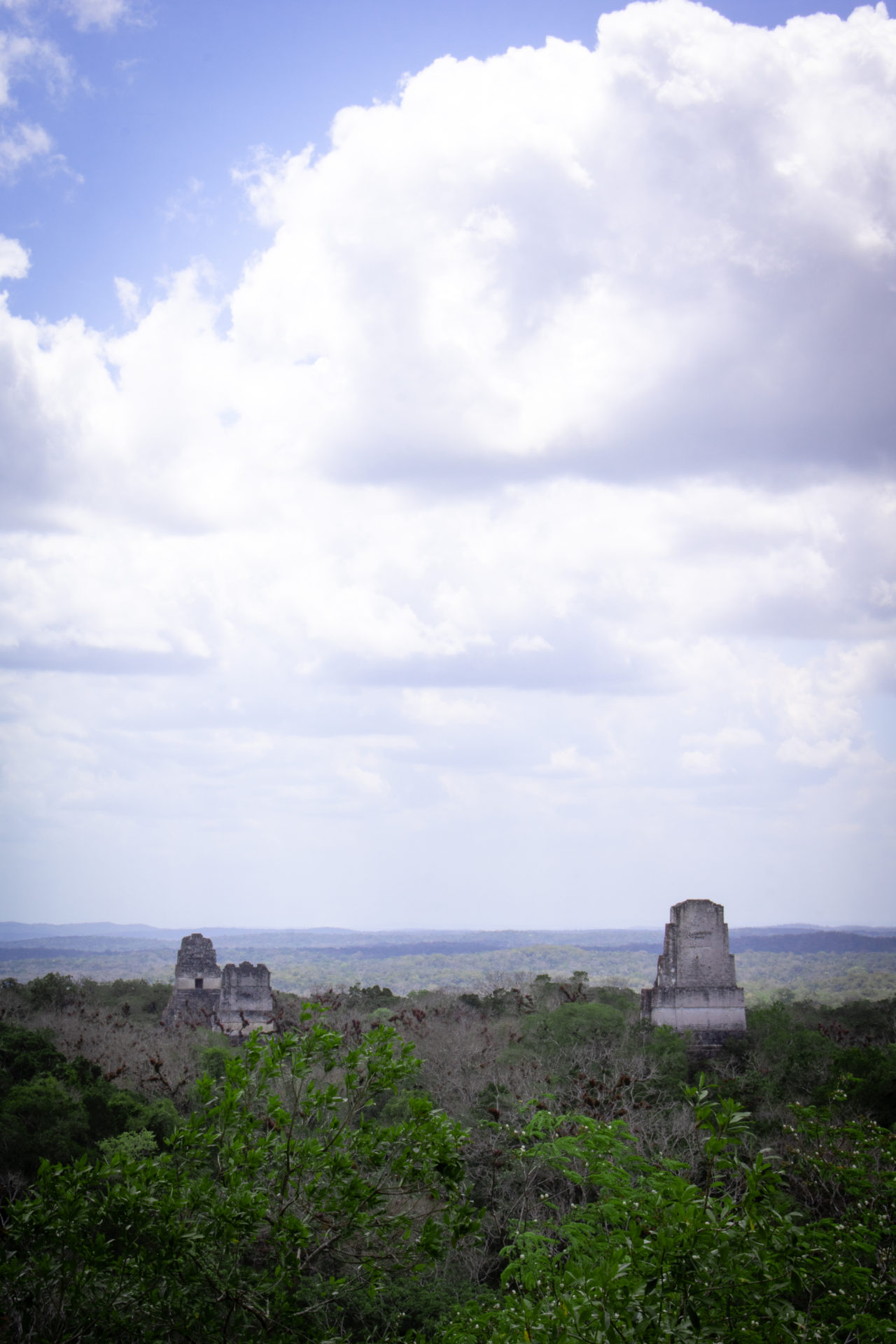 25 Photos to Inspire You to Visit Tikal in Guatemala