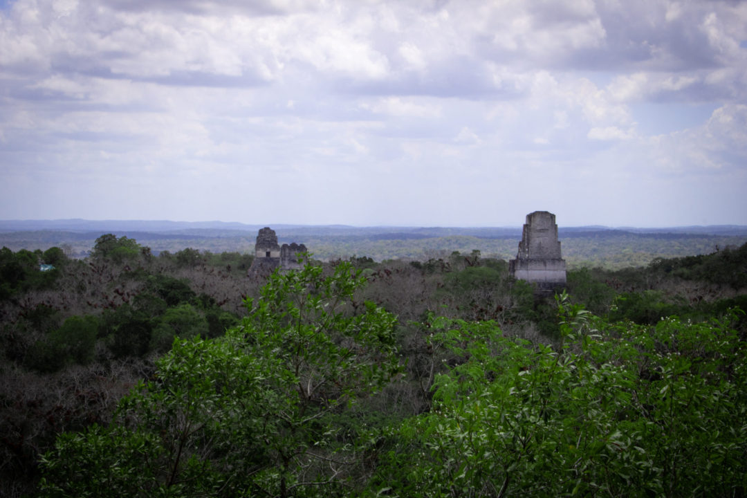 3 Mayan structures extending high above the rainforest canopy in Guatemala's Tikal National Park