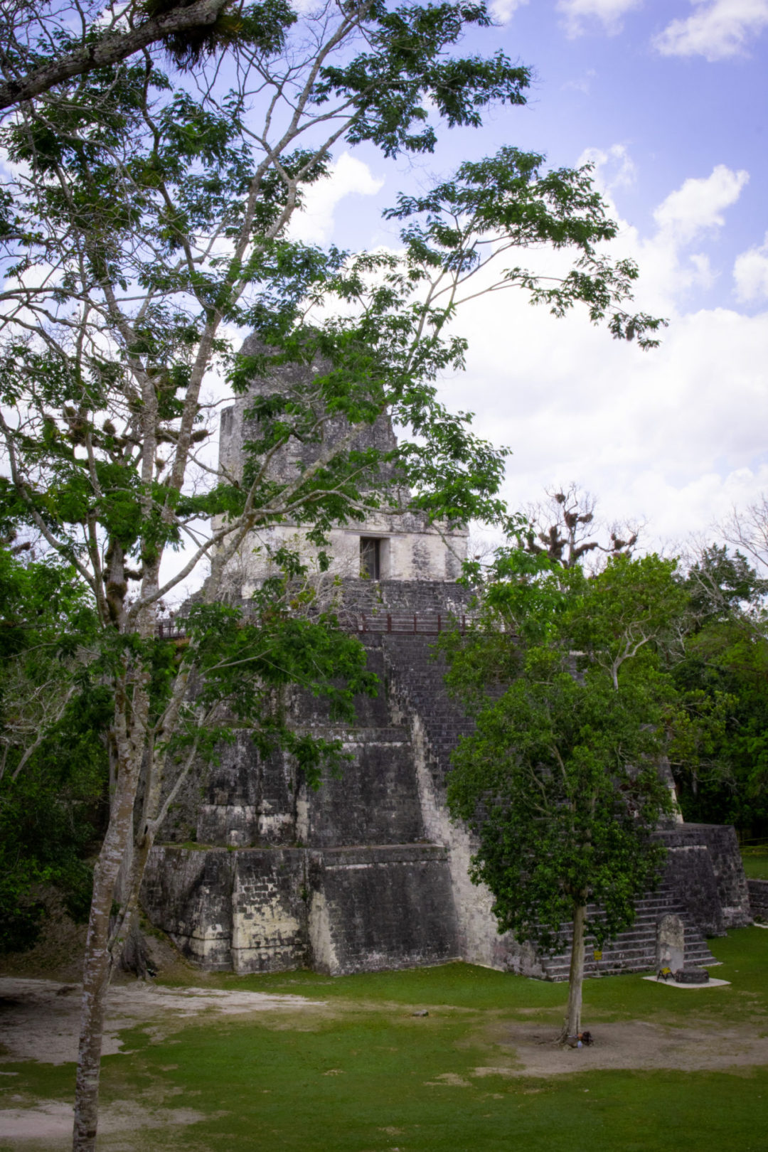 Templo II peeking through between a few trees inside Tikal National Park in Guatemala