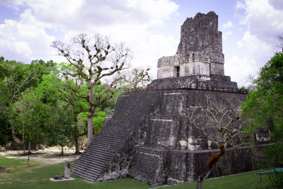Templo II standing tall against the rainforest inside Tikal National Park in Guatemala