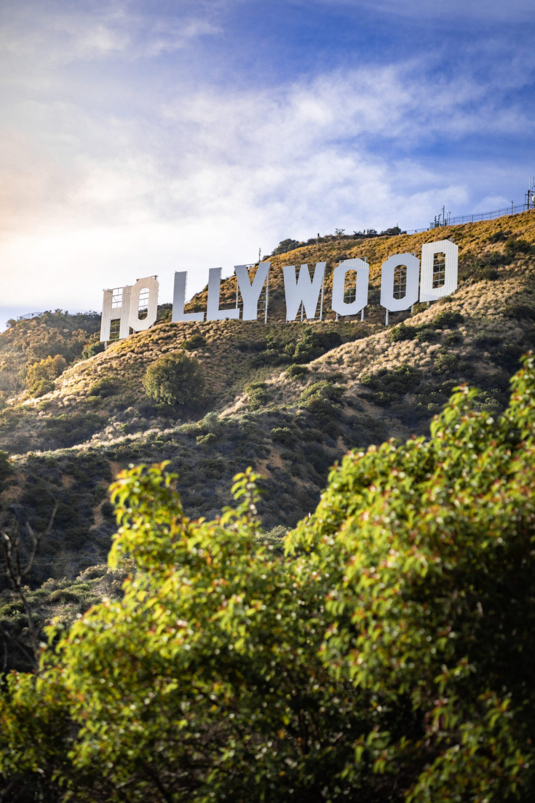 The view up at the Hollywood Sign in Griffith Park's Hollyridge Trail in Los Angeles, California, USA