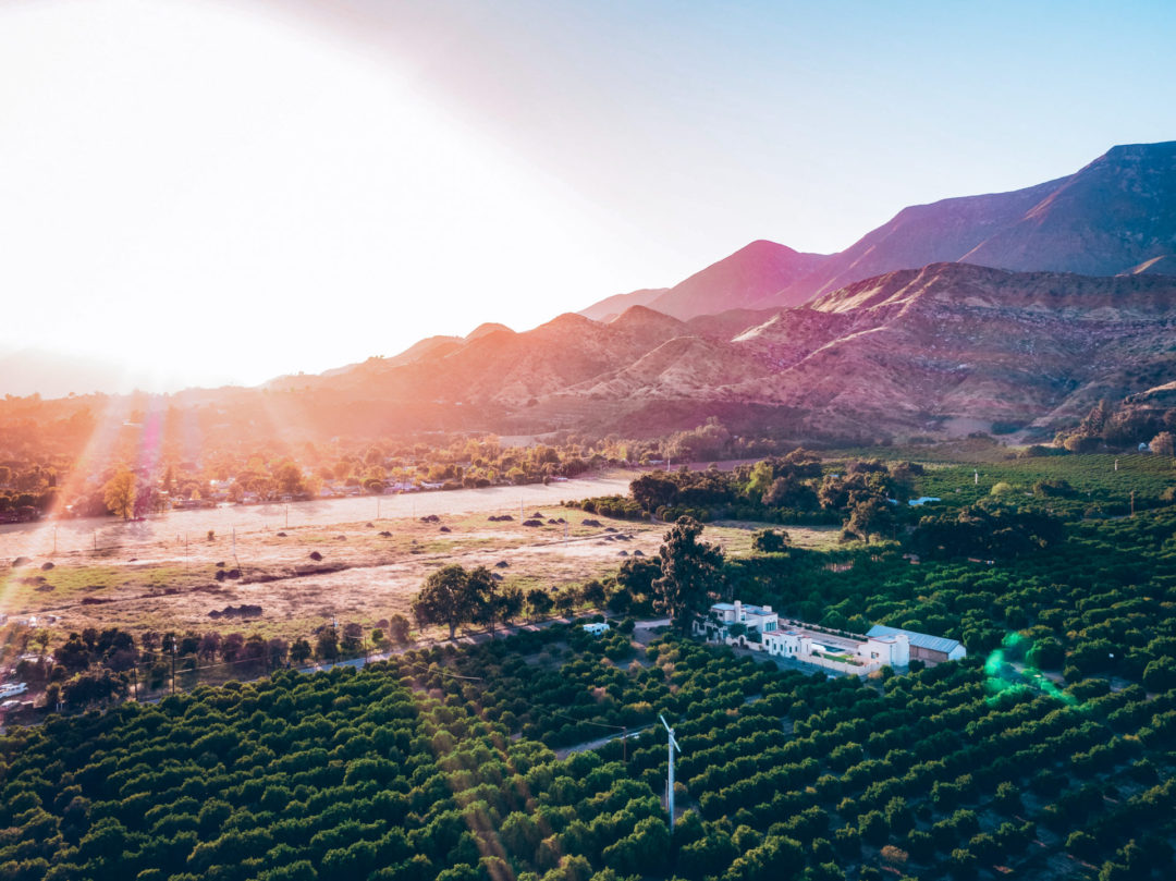 An aerial view of the vineyards of Ojai, surrounded by large hills