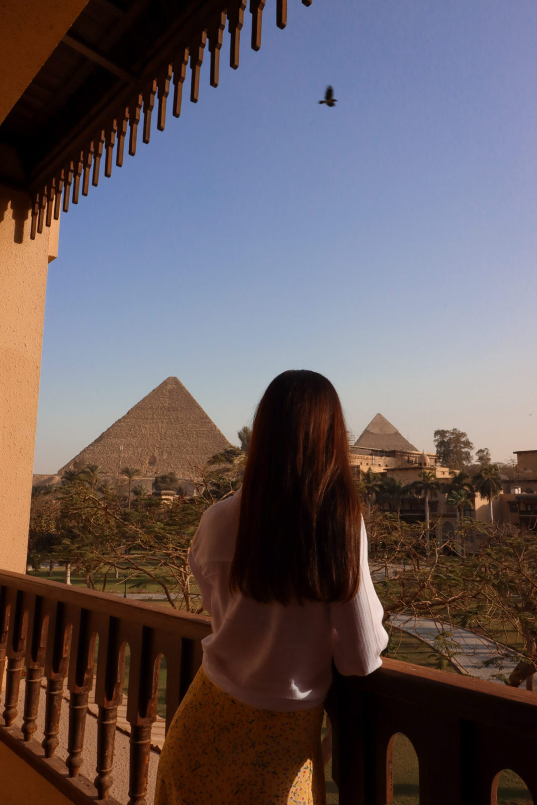 Travel Blogger Jordan Gassner looking out over a Marriott Mena House hotel room balcony towards the Pyramids of Giza