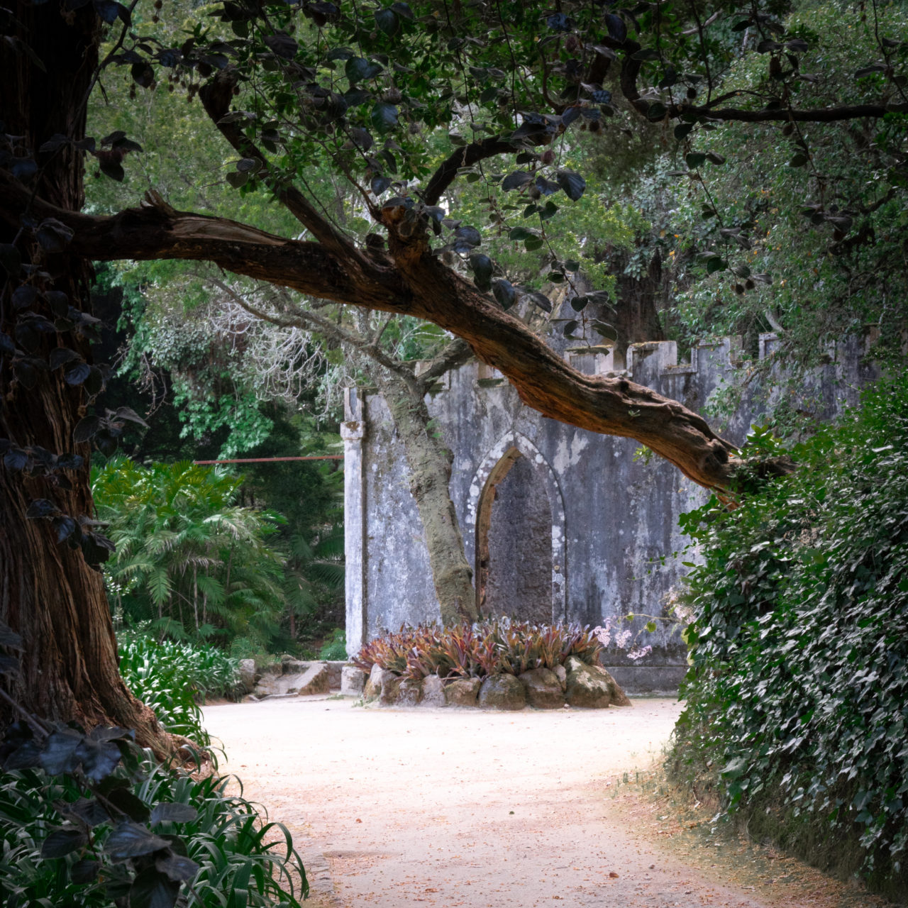 A pathway leading to some romantic ruins in the Monserrate Palace Gardens in Sintra