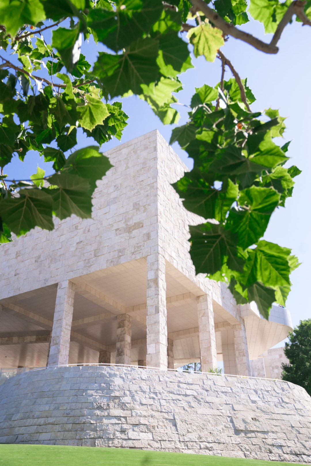 A cream, stone building inside The Getty Center as seen from under the tree of a canopy on a clear, blue day.