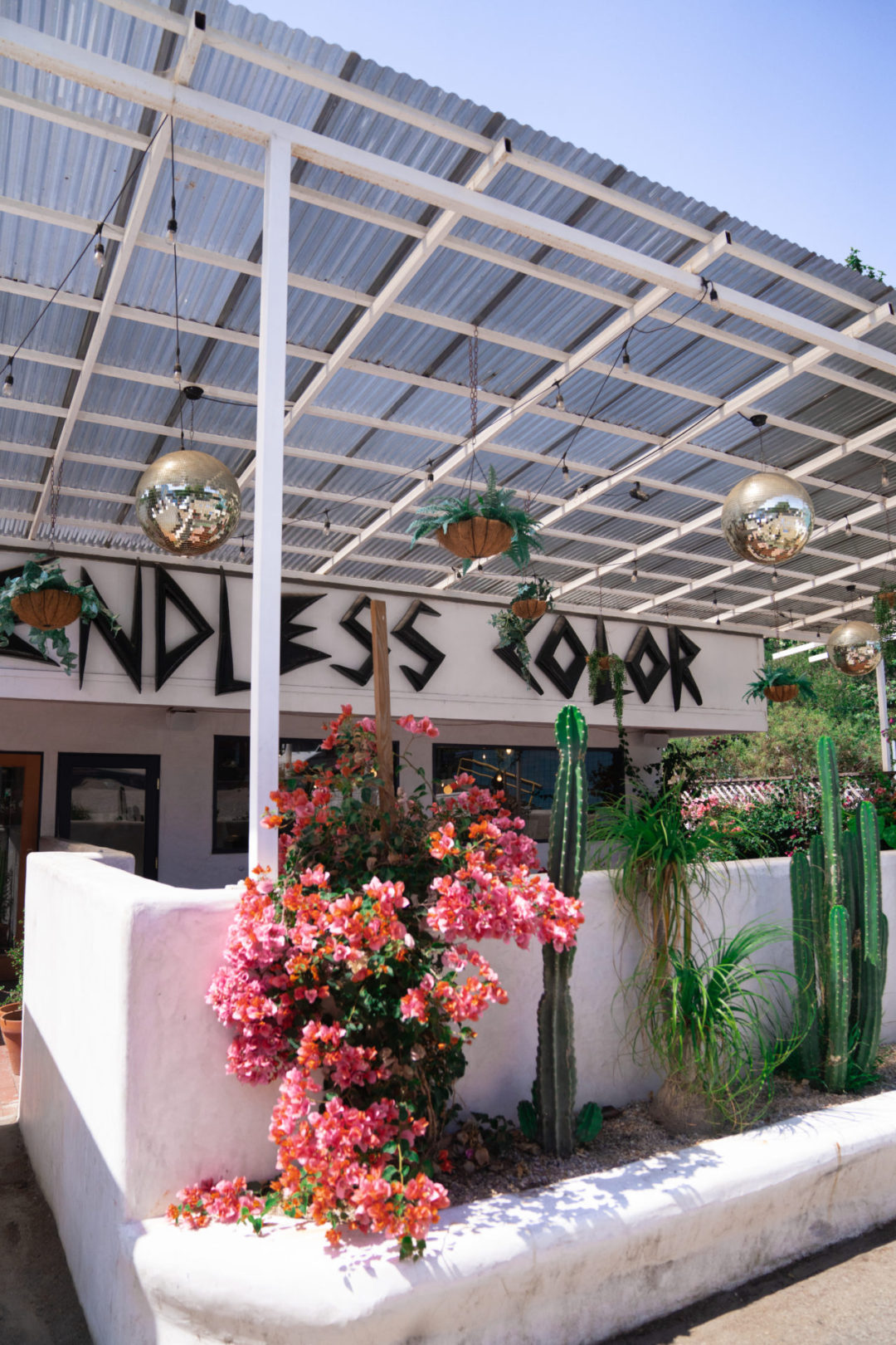The exterior of Endless Color, an offbeat natural wine shop in Topanga Canyon surrounded by cacti and bougainvillea