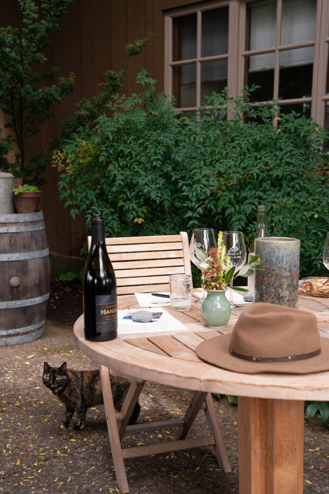 Handley Cellars' "resident" stray cat walking by an empty table on the estate's shaded garden patio