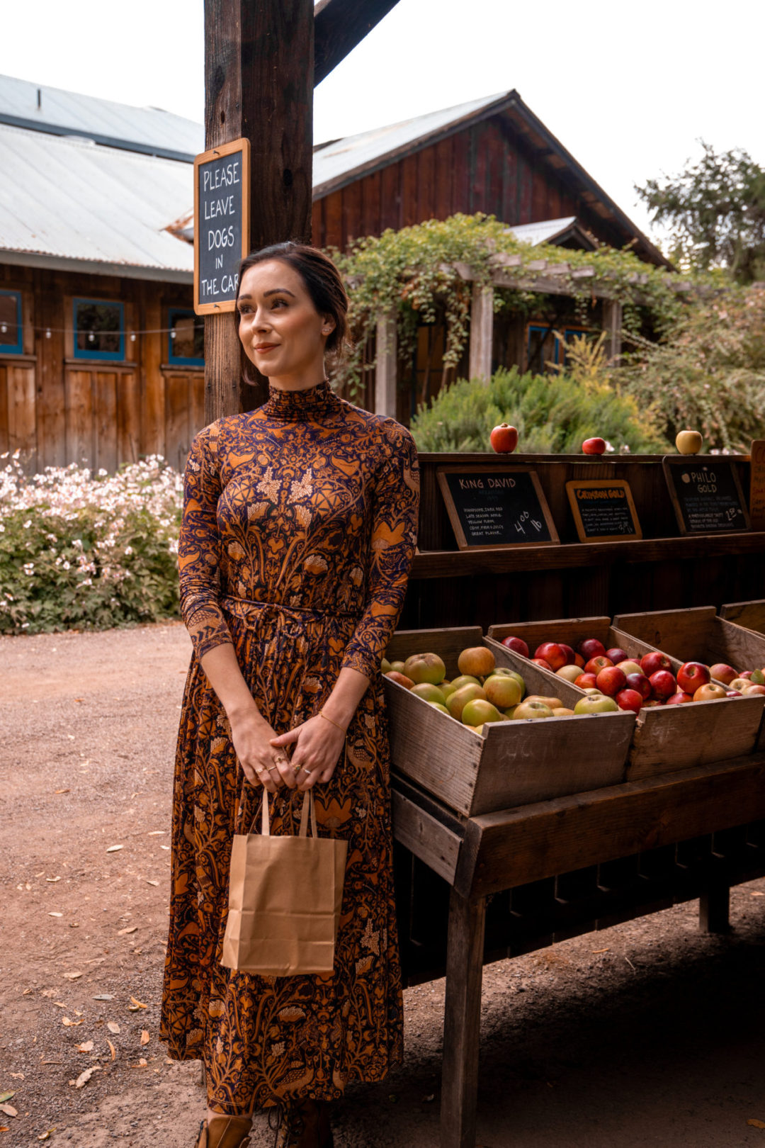 What To Wear in Mendocino: Travel Blogger Jordan Gassner picking apples to take home at Philo Apple Farm in Mendocino County, California