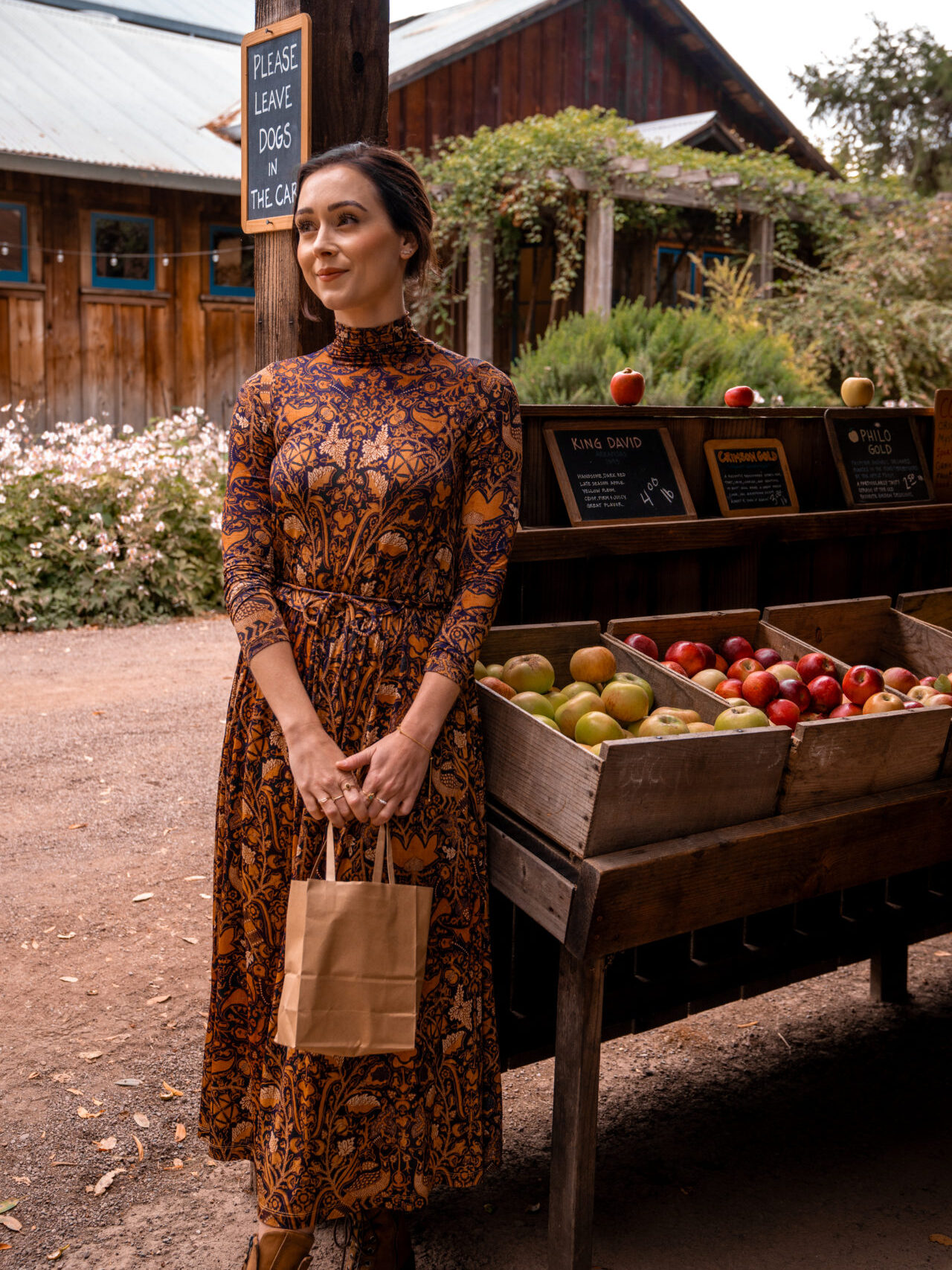 What To Wear in Mendocino: Travel Blogger Jordan Gassner picking apples to take home at Philo Apple Farm in Mendocino County, California