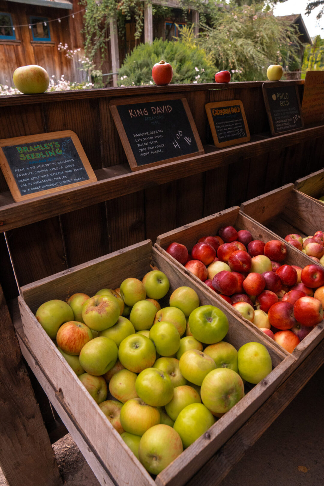 A row of wooden boxes full of apples at Philo Apple Farm in Northern California's Anderson Valley
