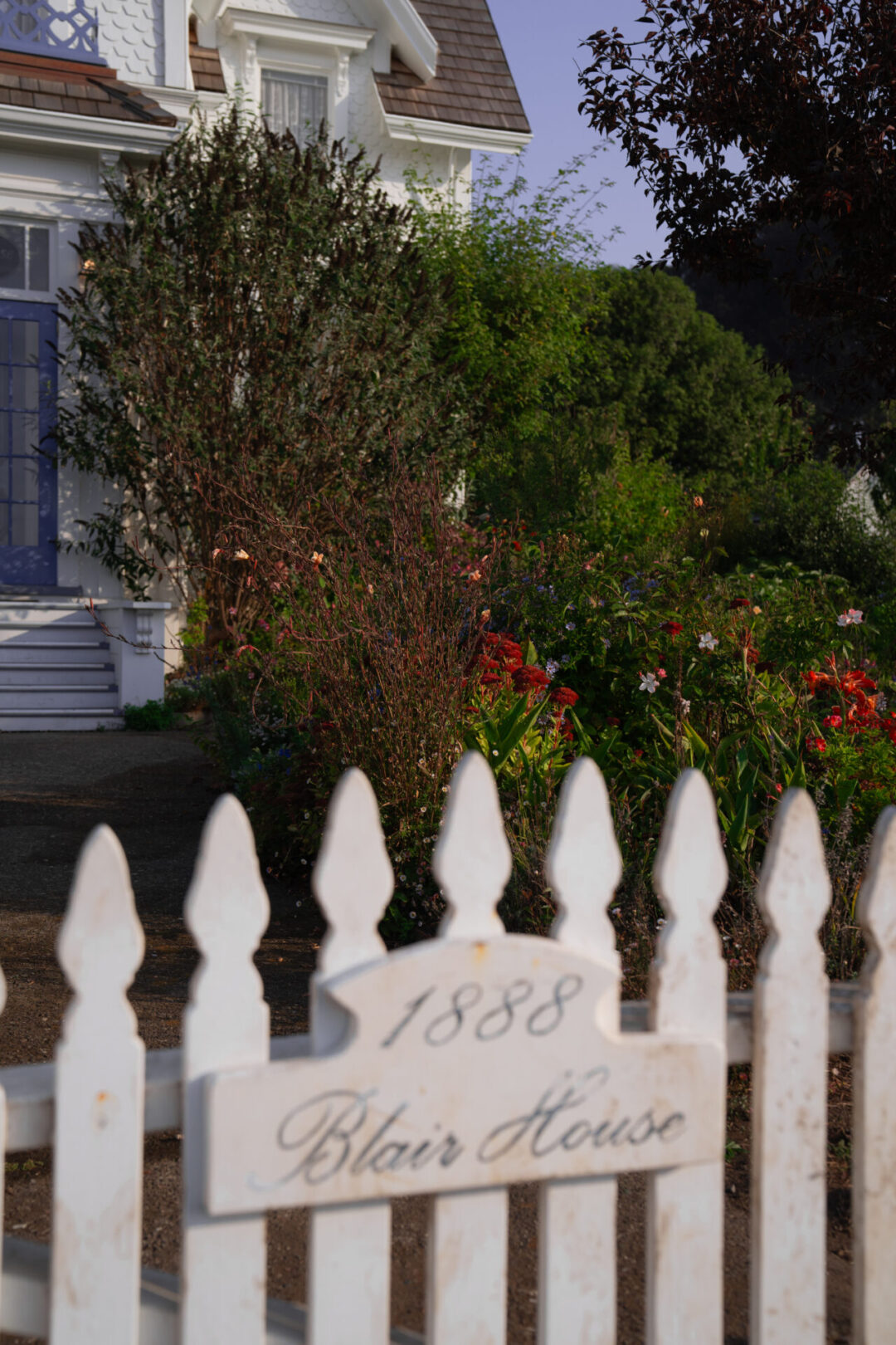 Mendocino Travel Guide: A lush, green garden at the Blair House Inn in Mendocino, California