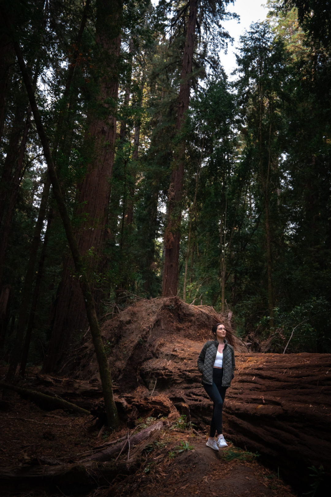 Travel Blogger Jordan Gassner smiling while walking alongside a fallen redwood in Hendy Woods State Park in Mendocino County