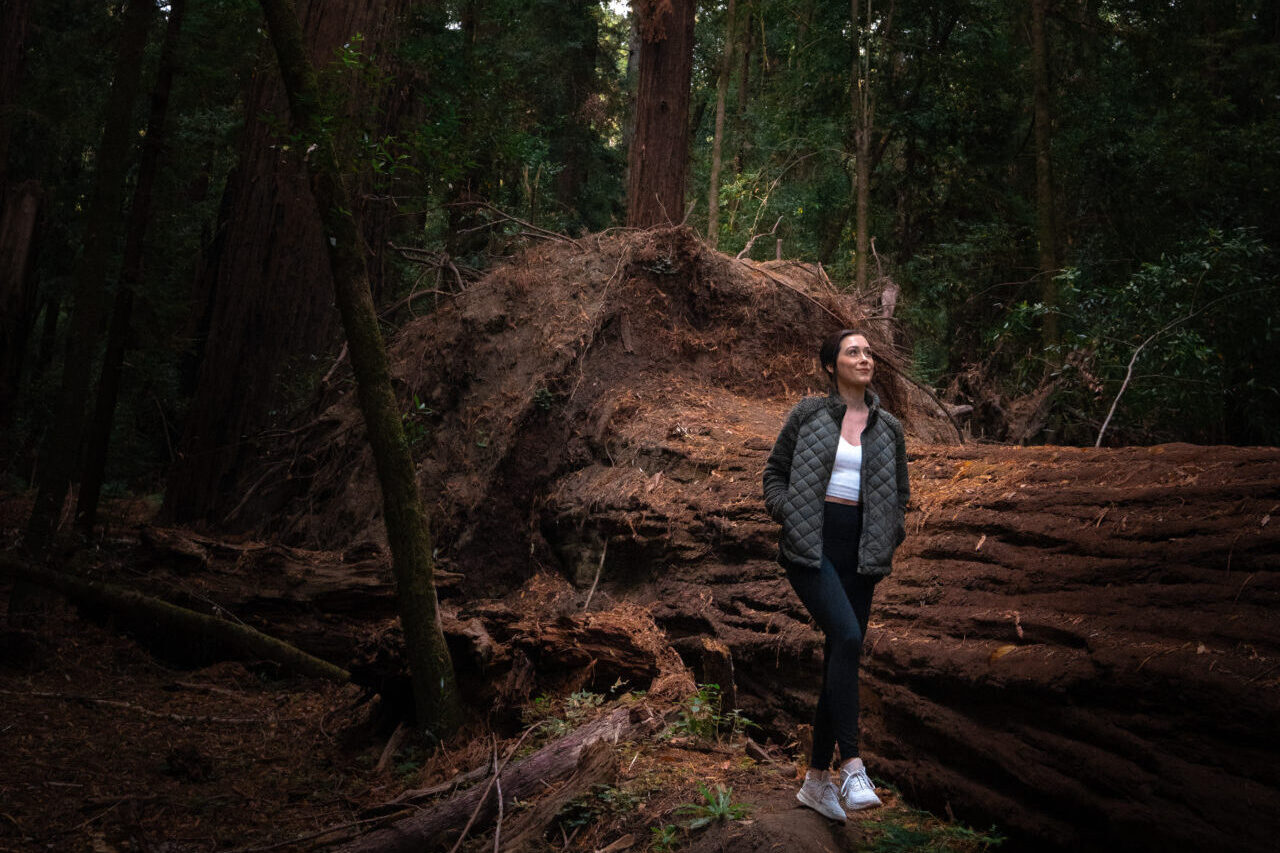 Travel Blogger Jordan Gassner walking alongside a fallen redwood in Hendy Woods State Park in Mendocino County in California