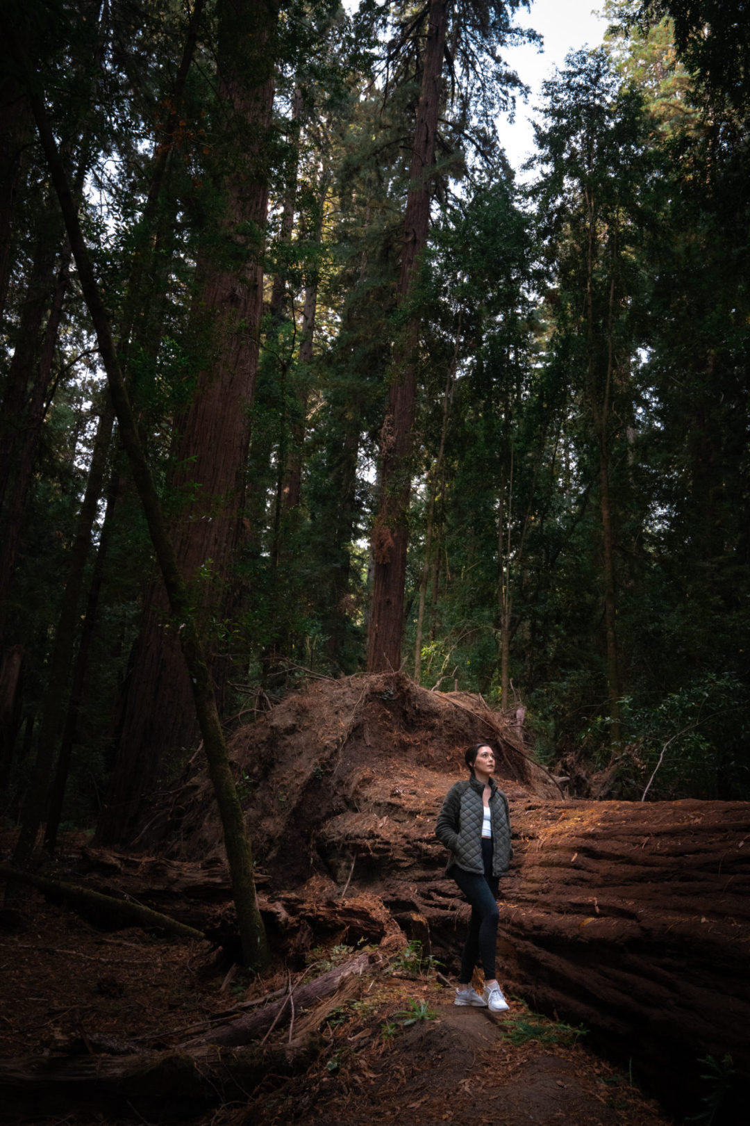 Travel Blogger Jordan Gassner walking alongside a fallen redwood in Hendy Woods State Park in Mendocino County in California