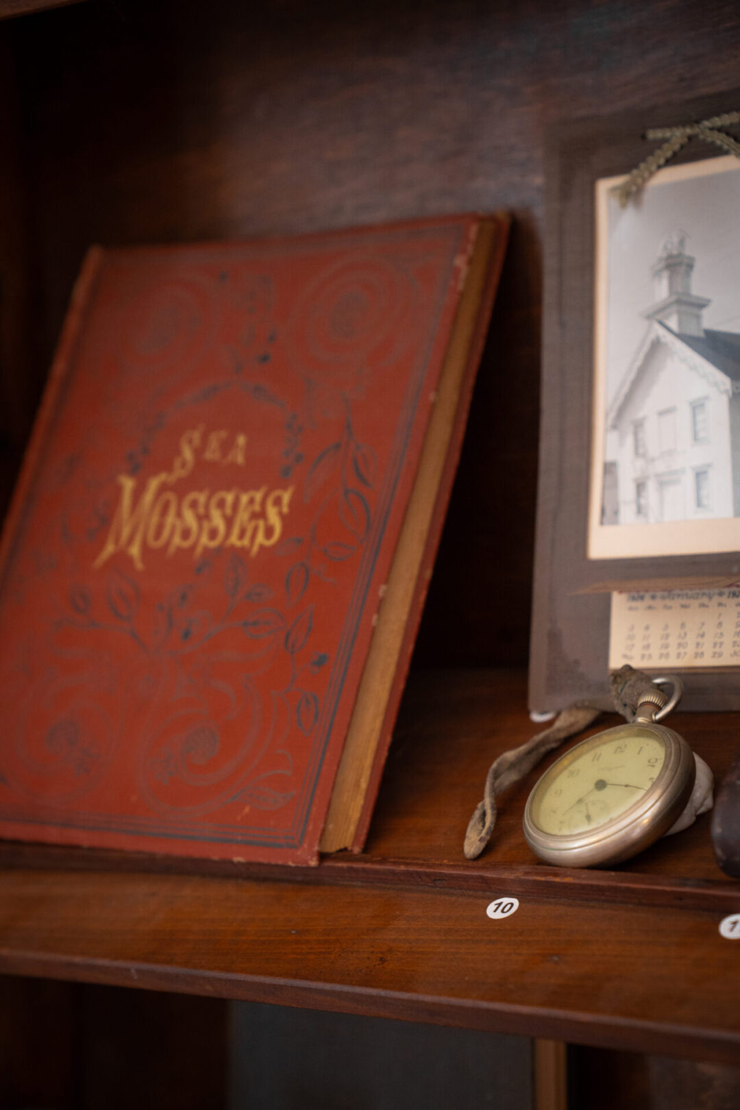 A vintage book with the title "Sea Mosses" on it sitting on a shelf next to an old pocket watch inside Mendocino's Kelley House Museum