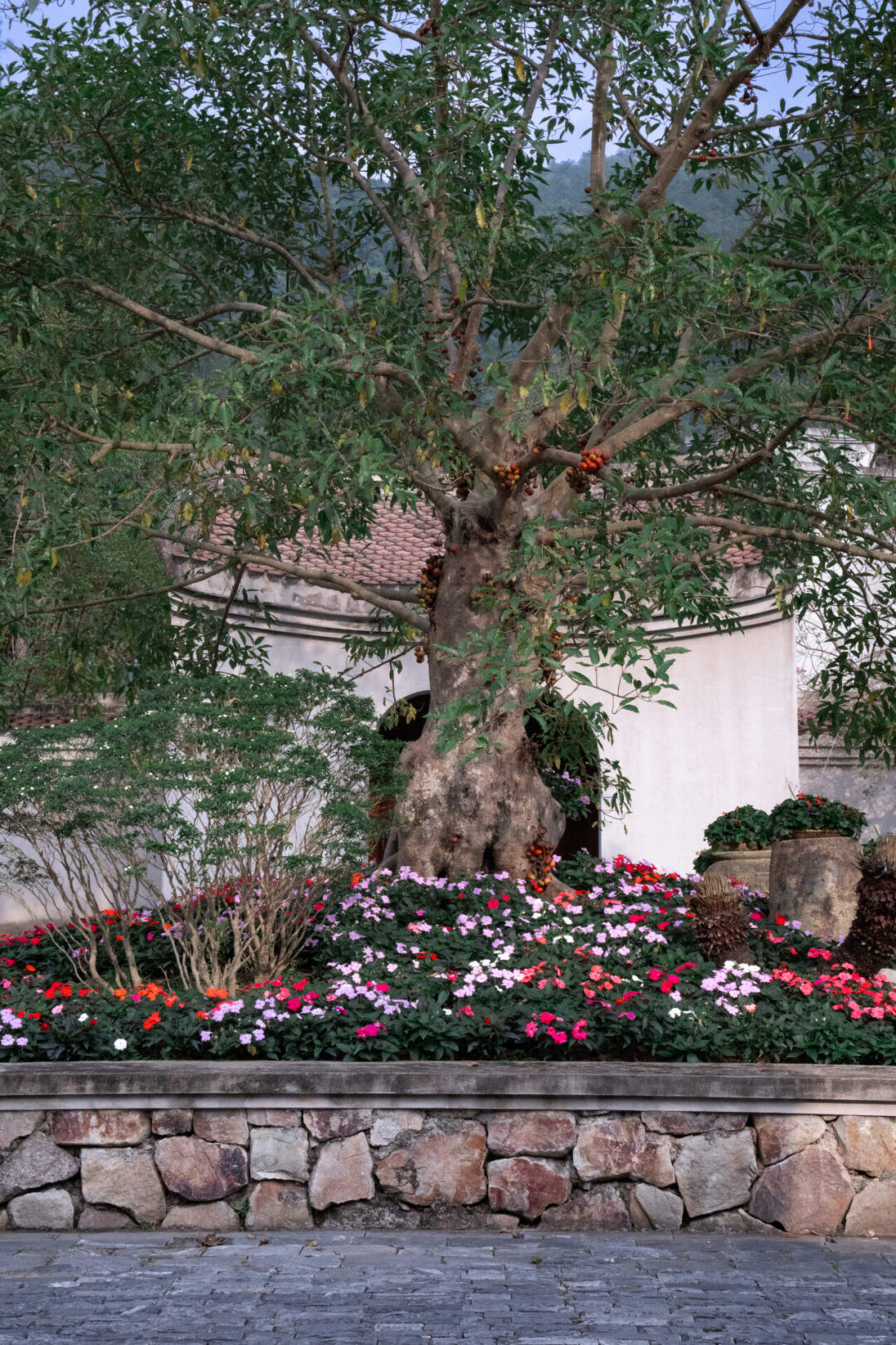 A tree and a group of red, white and purple flowers in the vehicle arrivals entrance at Legacy Yen Tu Resort in Northern Vietnam