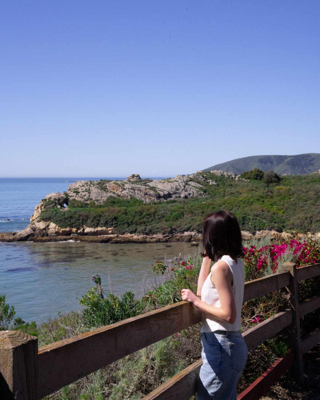 Travel Blogger Jordan Gassner staring out from a pink flower lined path along the coast at Pirates Cove in San Luis Obispo, California