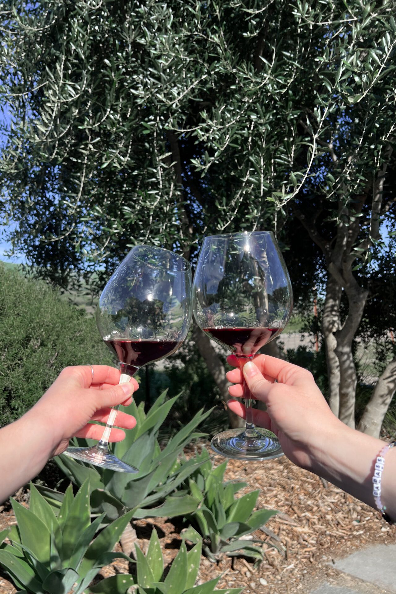 San Luis Obispo Travel Guide: Two hands cheersing with glasses of red wine at Chamisal Vineyards in Edna Valley, California