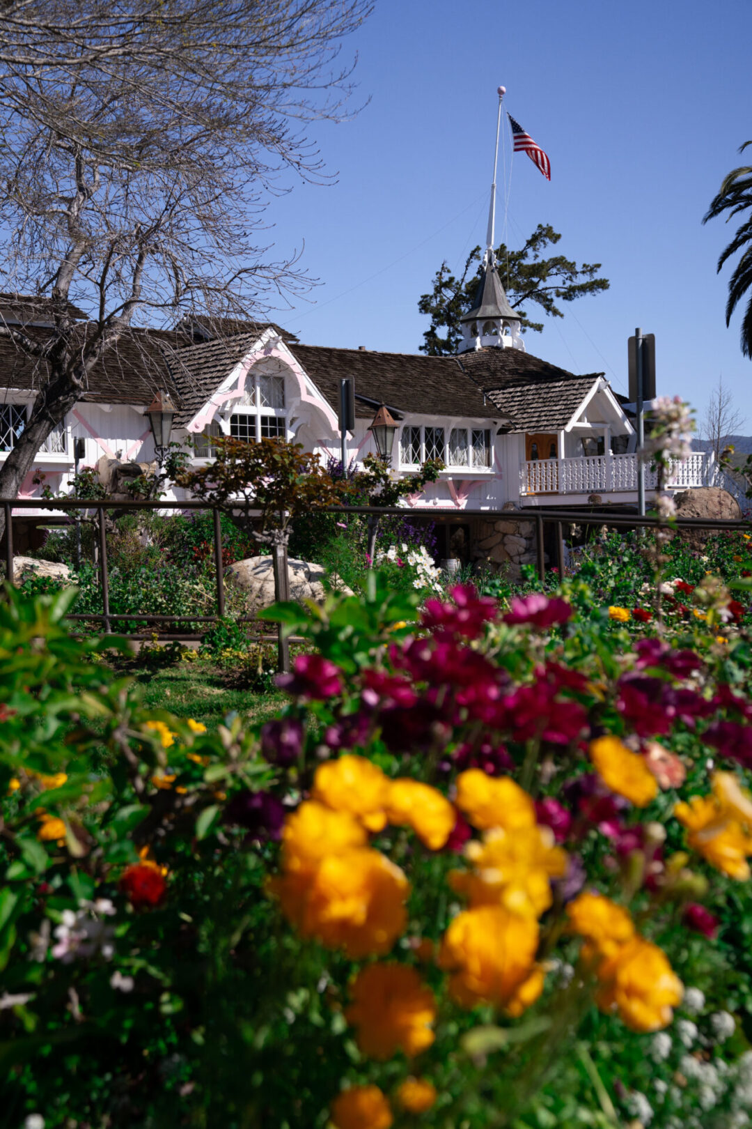 Purple and golden flowers in the garden in front of the light pink Madonna Inn in San Luis Obispo, California