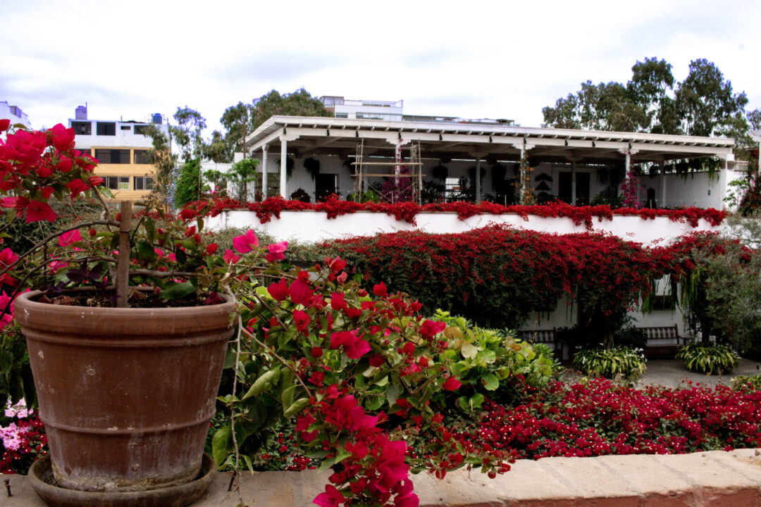 Potted pants and flowers surrounding a courtyard outside Larco Museum in Lima, Peru
