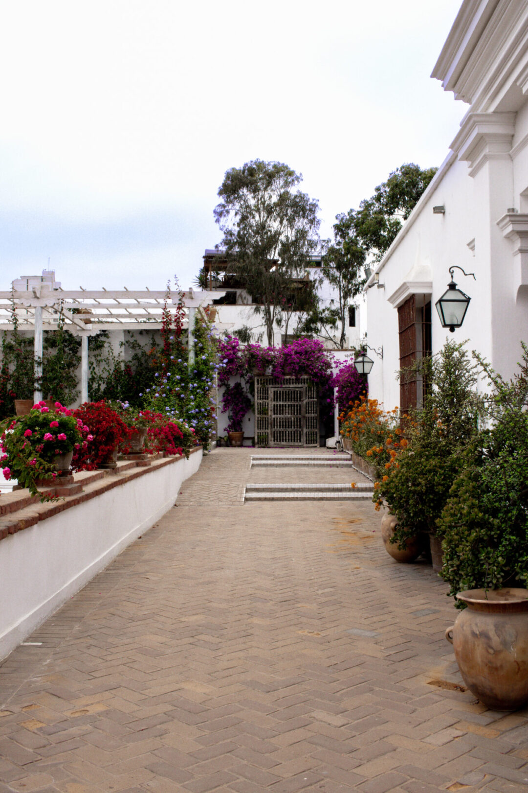 Lima Travel Guide: The flower-lined entranceway to Larco Museum in Lima, Peru