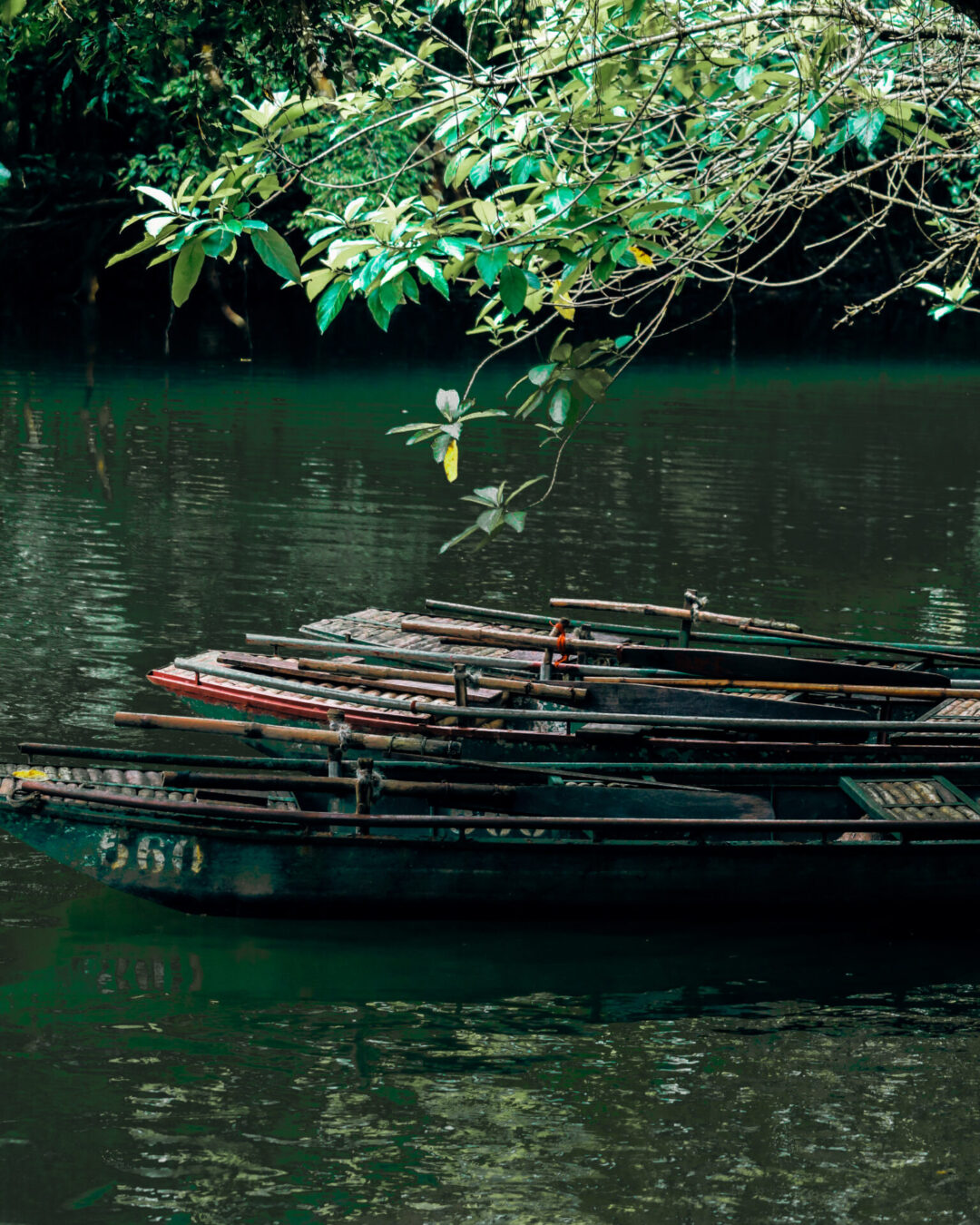 A gathering of three empty green boats in a blue lagoon area