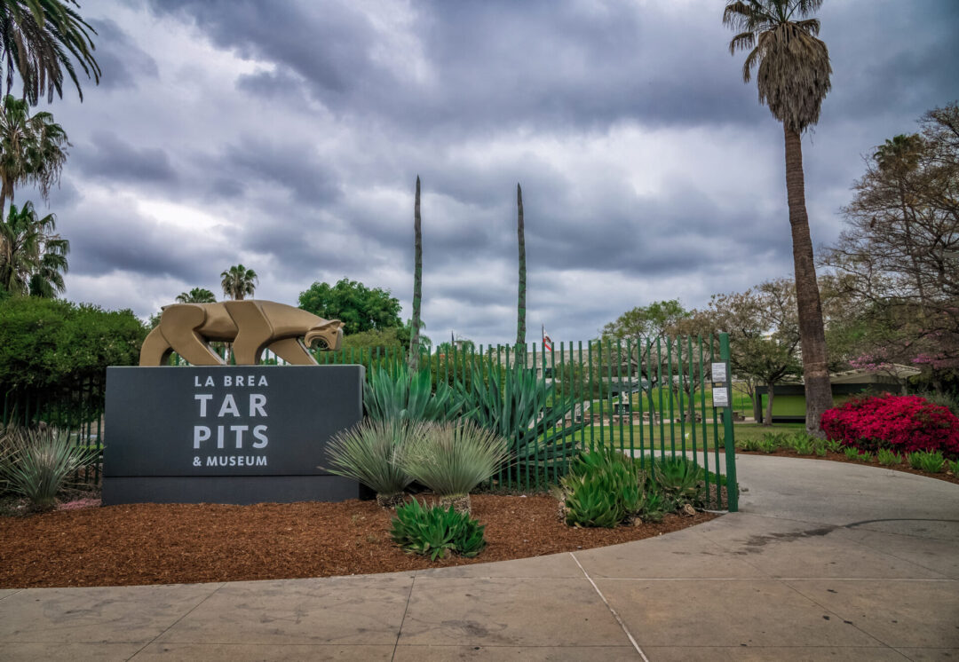 LA Museums: The entrance to the LA Brea Tar Pits in Los Angeles, CA
