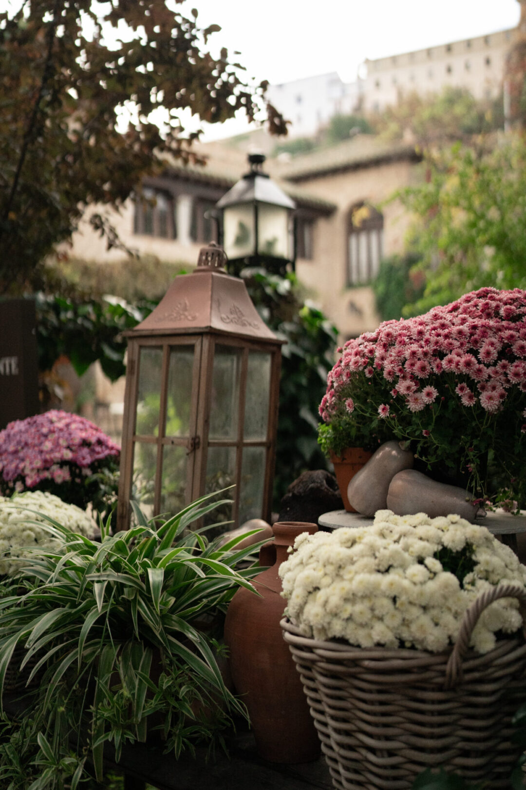 A lantern amidst a display of floral arrangements in the courtyard of the Hotel Hacienda del Cardinal in Toledo, Spain