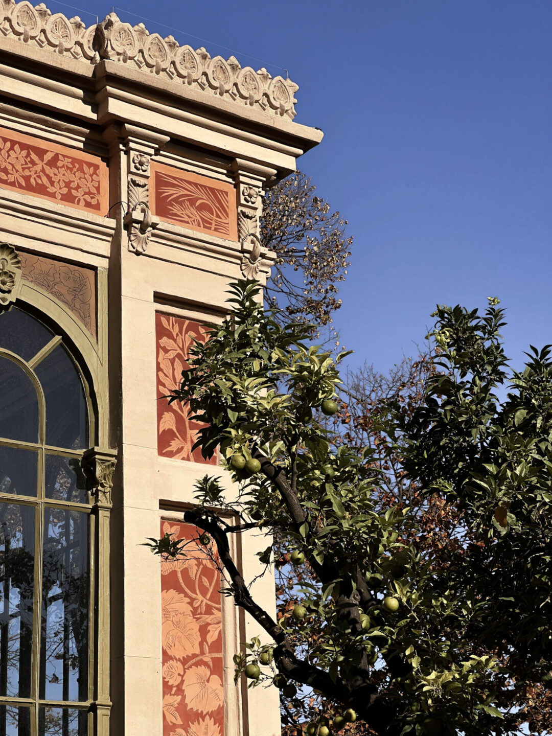 The red and orange designed wall of Hivernacle del Parc de la Ciutadella next to a lemon tree in Ciutadella Park in Barcelona, Spain
