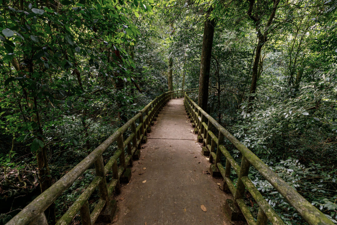 A path inside Cuc Phuong National Park in Ninh Binh, Vietnam