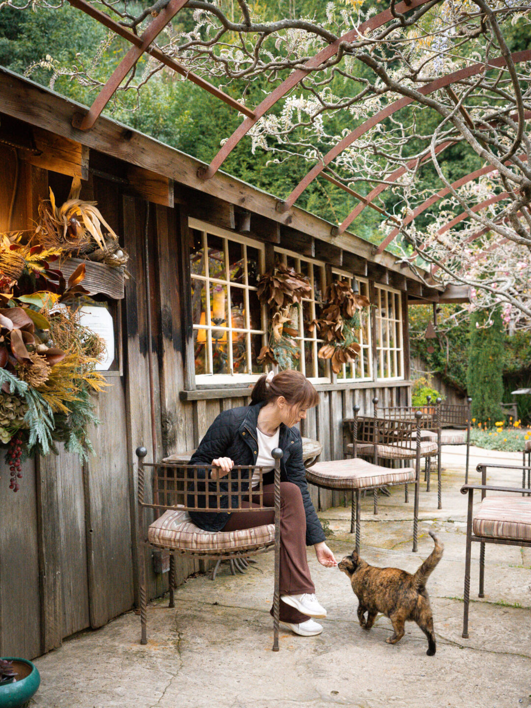 Travel Blogger Jordan Gassner petting a cat outside Deetjen's Inn and Restaurant in Big Sur, California